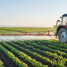 Agricultorii vor primi sprijin în sumă de 133 de milioane de lei

