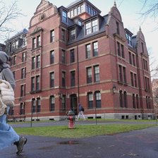 Administrația Trump interzice Universității Harvard înscrierea studenților internaționali. Mii de tineri în pericol de a-și pierde statutul legal