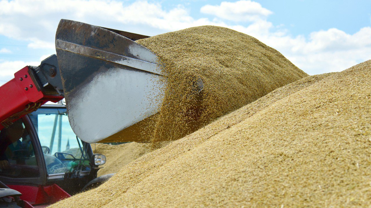 Analiză: Care e portiţa prin care cerealele şi oleaginoasele din Ucraina intră pe piaţa Moldovei
