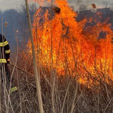 Risc de incendii de vegetație în toată țara: Meteorologii au emis cod galben pentru șapte zile