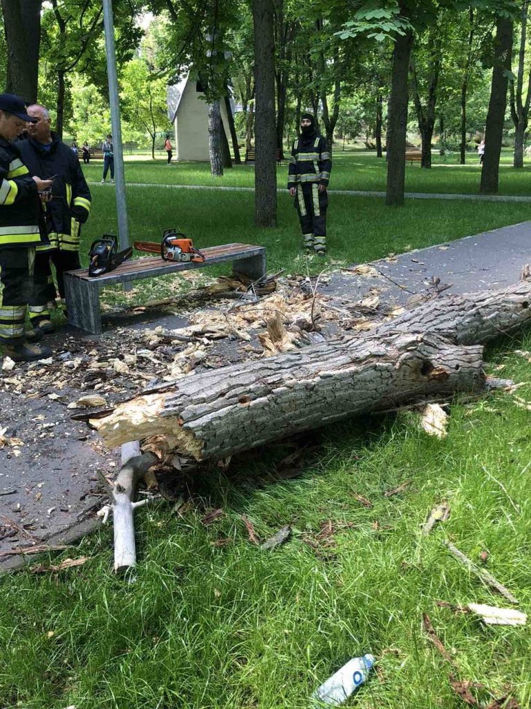 Dosarul pe cazul fetiței ucise de o creangă căzută în parc. Bănuitul riscă până la șase ani de închisoare