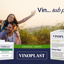 Un plasture care oferă o alcoolemie de 0,5% a fost lansat de o vinărie din Moldova